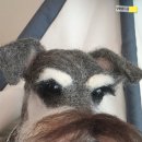 컴인형 네이버블로그