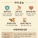 보배유통 | 전통주 보주(寶酒), 이름 그대로 ‘보배로운 술’, 즉 귀하게 여겨지는 약용주 또는 귀한 술