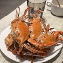 봄 샐러드 | [은평] VIPS 은평 롯데몰 빕스 평일 런치 샐러드바/스테이크 가격 및 봄 메뉴 후기