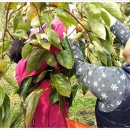 시목마을 이미지