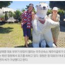 우주선펜션 이미지