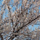 덕풍천동로 이미지