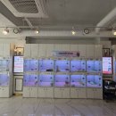 도그마루 강아지 고양이 울산점 | 울산강아지분양 고민했는데, 도그마루 강아지 고양이 울산점 가보고 반했어요~💕🫰🏻