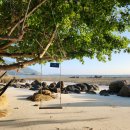 산호세탁 이미지