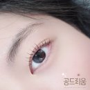 공드리움