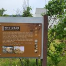 울산 매곡동 생활유적 이미지