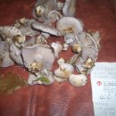 산주농장 이미지