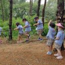 파주시유아숲체험원 이미지