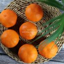 웅이네농장 이미지