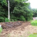 보림농장 이미지