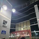 가연 Stay | 251121~251123 엑디즈 콘서트 보러 갔다가 스키즈 공방 간 썰