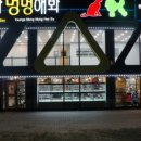 야옹아 멍멍해봐 오산점 네이버블로그
