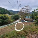 유룡리농장 네이버블로그