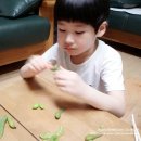 리플러스횟집
