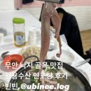 용수식당 | 무안 낙지골목 맛집 평용식당에서 낙지먹고 몸보신 챙기세요, 연포탕 내돈내산 후기