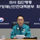 가배정인 이미지
