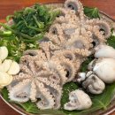 주안 | 전포 맛집 전포 술집 강력추천: 하단돌게탕 전포점 활쭈꾸미숙회