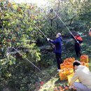 방현농장 이미지