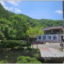 길손가든 | 작년에 못 먹은 대한가든, 천안 백숙 맛집 내돈내산 후기