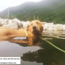 장군의집 민박 이미지