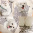 해성정수기