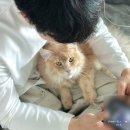 삼향천로 이미지