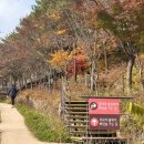 세아조경(주) | 여행 :: 11월1일 화담숲 단풍나들이ෆ (주차, 꿀팁, 아기동반 등) + 근처맛집