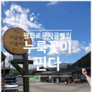누룩꽃이 핀다 이미지