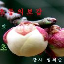 약초이야기 이미지