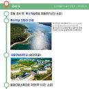 제이제이여행사 - 서귀포시 원님서로 374 | 제이제이여행사