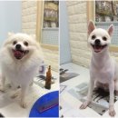 오송프렌즈샵