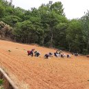 선영농장 이미지