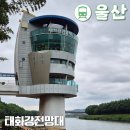 동해선 벡스코역 1번출구 앞 | 울산 태화강전망대 가는법 부산동해선 타고 울산시티투어 타고 고고고