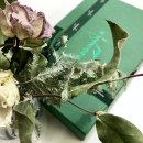 디자인퍼플케이