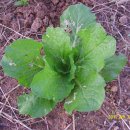 선유농장 이미지