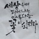 훈민세상 이미지