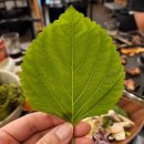 소사정육식당 네이버블로그