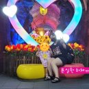 별핏