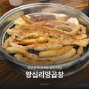 김해양곱창 - 김해시 | 김해 삼계동 곱창 맛집 왕십리양곱창 내돈내산 솔직후기