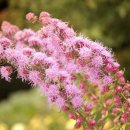 길목가든 이미지