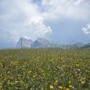천상카정비 | [돌로미티 트레킹 1일차] 알페 디 시우시(Alpe di Siusi) 야생화 천국 코스 후기 🌼