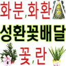 영농조합법인 부성 네이버블로그