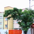 망고게스트하우스 이미지