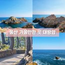 대왕암공원관광안내소 | 울산 여행 가볼만한 곳 대왕암 산책 코스