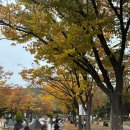 구지로R | 251031 #RUNSEOKJIN_EP.TOUR ENCORE 런석진 앙콘 후기💜 인천문학경기장 DAY1✨