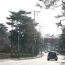 노송로 Daum카페
