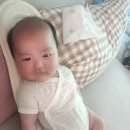 평화5(쌍둥이) 이미지