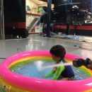 장항렉스 이미지