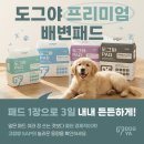 올 마이 펫 | 마이펫페어 2026 송도 다녀온 후기 일정과 주차 꿀팁 정리