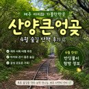 서윤의숲길 | 제주 아이와 가볼만한 곳 추천, 산양큰엉곶 후기 + 6월 반딧불이축제 정보까지